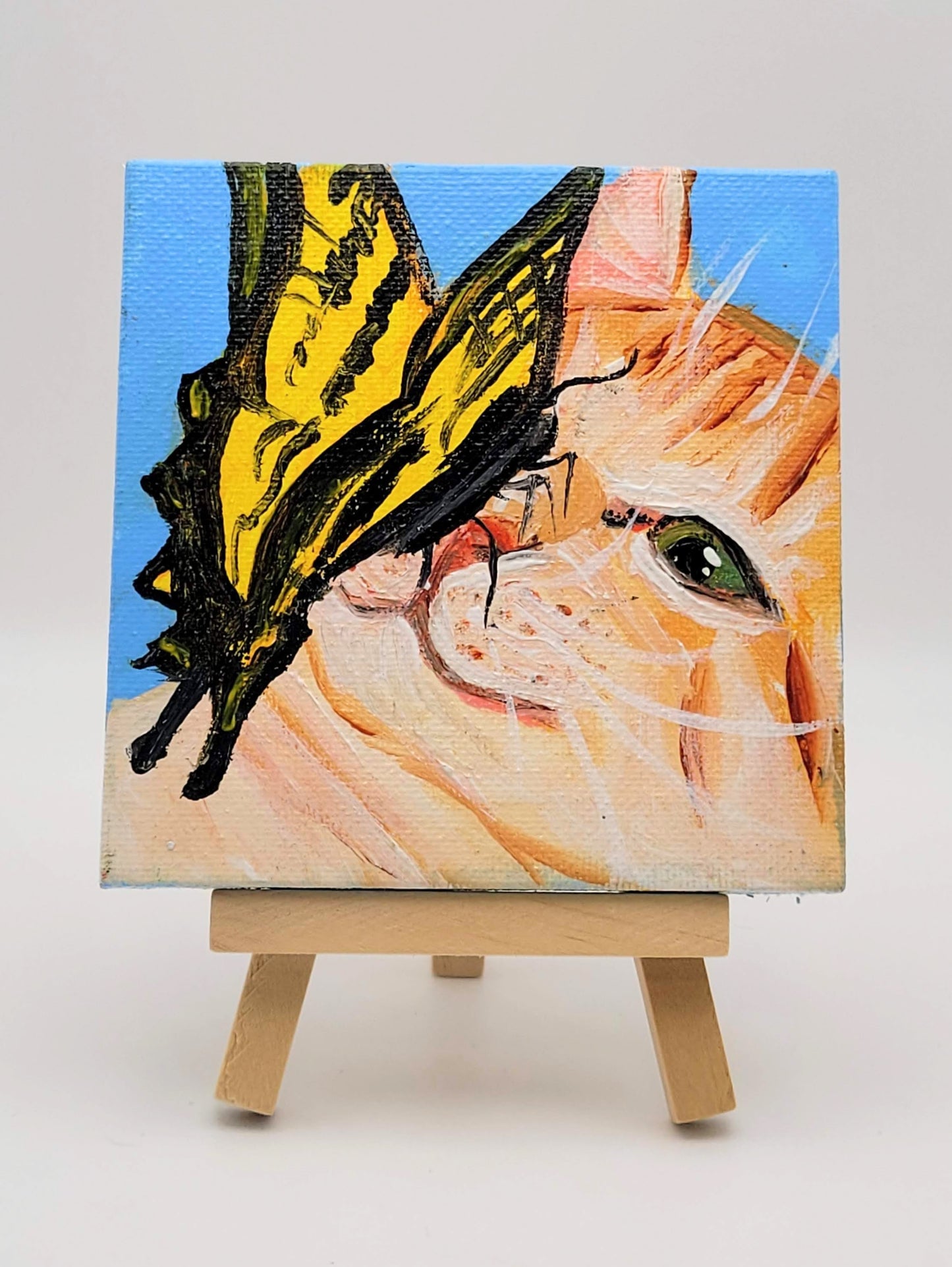 Butterfly Kitten Kisses