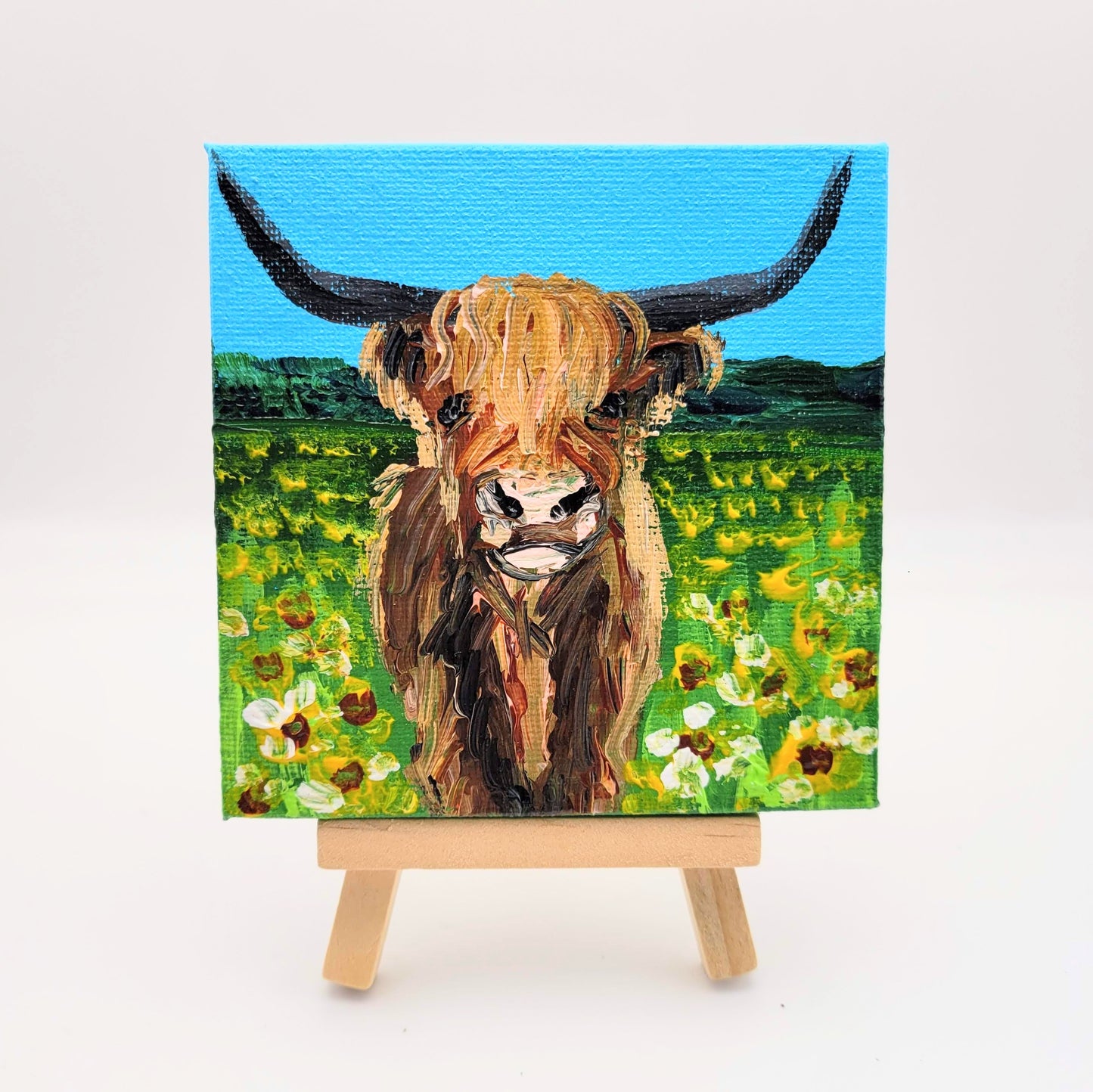 Highland Cow